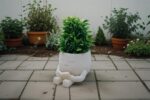3D Printed Smiling Reader Plant Pot: Whimsical Succulent Planter - Image 6